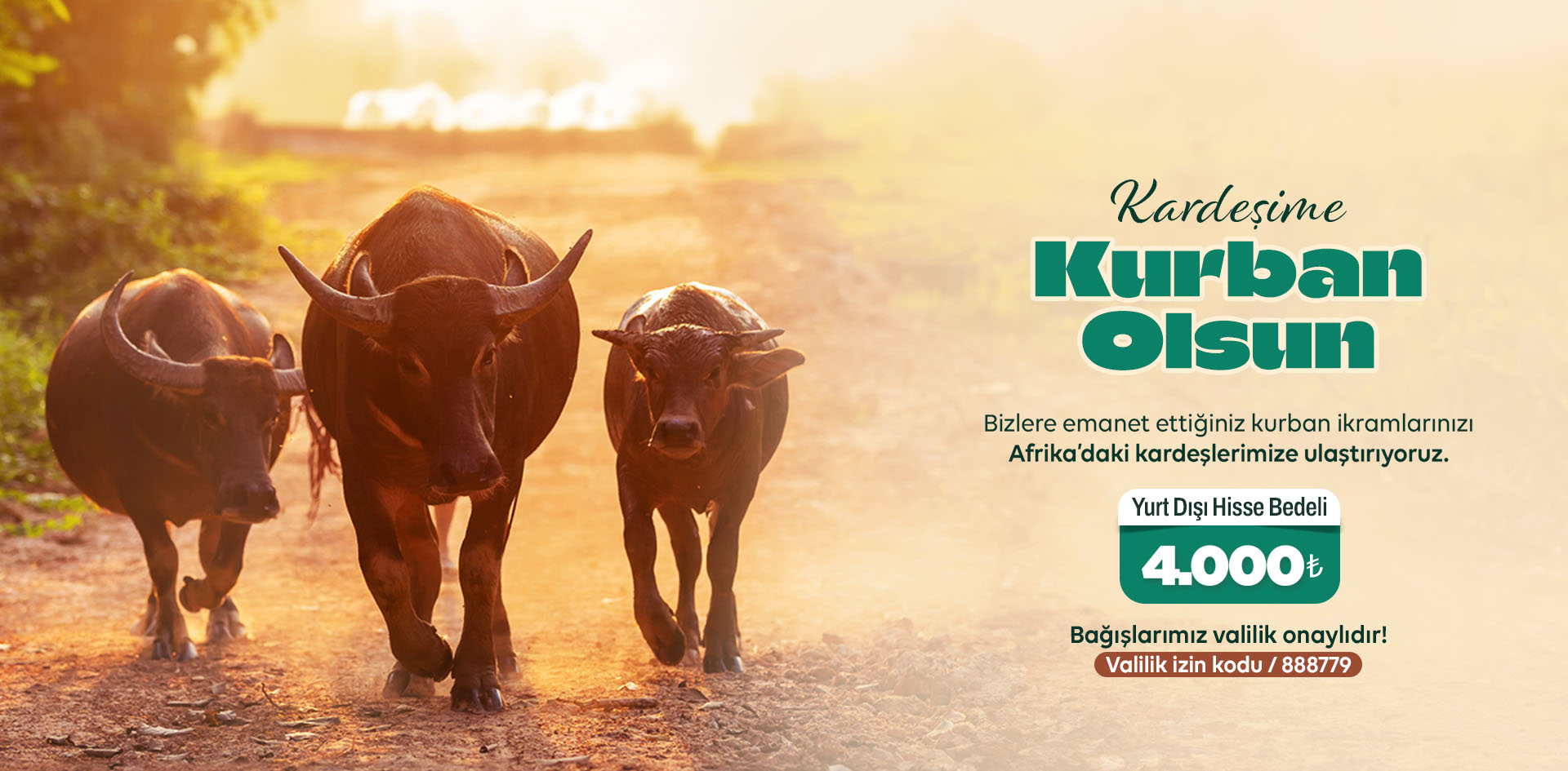 KURBAN BAĞIŞLARINIZ İÇİN SON GÜNLER!