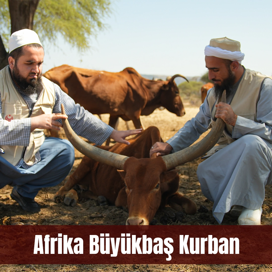 YURT DIŞI BÜYÜKBAŞ KURBAN